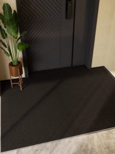 Wash-Resistant Non-Slip Stain-Resistant Doormat