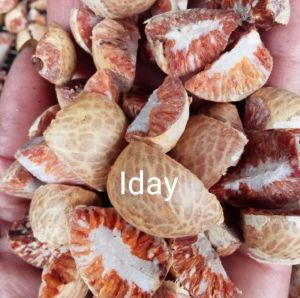 "PROMO" Buah pinang tuamuda / jambe 1kg TERMURAH OBAT HERBAL ALAMI