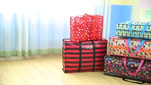 Storage Shopping Eco Travel Luggage Sako Bag Thick Durable Zipper (RANDOM DESIGN)