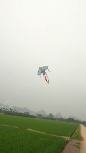 Diều Thiết Bạc Điêu 5 Đuôi Size Đại