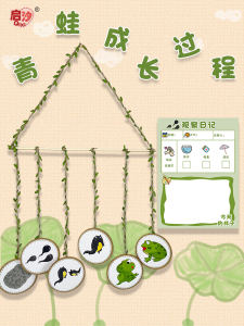 Kindergarten Corner Material Intermediate and Advanced Kindergarten Classes Regional Frog Growth Process Summer Delivery Science District Plant Horn