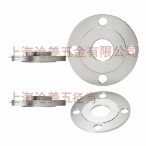 CANGJIANG | Stainless Steel 304/316L Slip-on Flange Class150/300