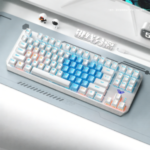 ESPORTS LIVNG MUSEUM | Wireless Gaming Mechanical Keyboard 87 Keys