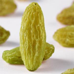 Extra Large Top-grade Seedless Raisins No Wash