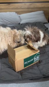 Pet Village - Natural Dog Biscuit - Good Nibbles Trial Box