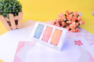 Kw Trio Macaron Stationery: Colorful Accessories for Creative Work