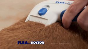 Sisir Serit Elektrik Penghilang Kutu Rambut Hewan Kucing Anabul Dan Anjing