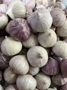 Tỏi cô đơn size lớn già củ dễ lột 1kg