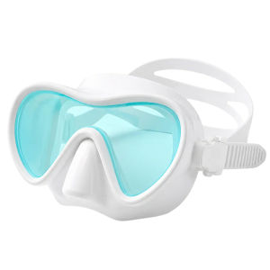 fitlook | Panoramic Diving Mask