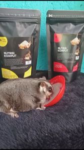 Nutrisi Komplit Makanan Praktis Harian Langsung Seduh Sugar Glider 250gr