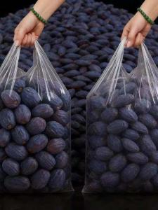 No-Core Wild High-Grade Black Jujube 5 catties