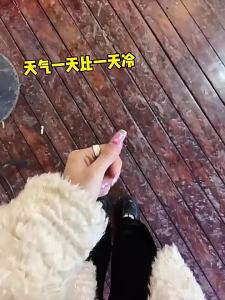 Same Style Winter Portable Explosion-Proof Hand Warmer Cute   Electric Hand Warmer usb Rechargeable Cat Paw Hand Warmer