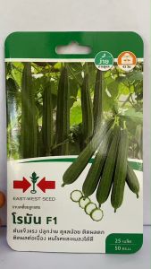 ศรแดง บวบเหลี่ยม โรมัน [จำนวน 25 เมล็ด/ซอง ] หมดอายุ 25/10/2569 ต้นแข็งแรง ติดผลดก ทนโรคและแมลงได้ดี ระยะเก็บ 42 วัน