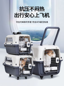 Carpet Pet Air Travel Cage Portable Cat Dog Carrier Handheld Roller Bag Breathable Car Shipping Box for Travel And Outdoor Use