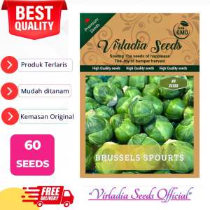 [Virladia Seeds] Biji Benih tanaman kubis Brussels Sprouts