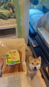 Rookie ไก่เส้นรุกกี้ ทาโร่ไก่  ขนมแมว ขนมสุนัข โปรตีนสูง ไม่เติมเกลือ คุณภาพพรีเมี่ยม