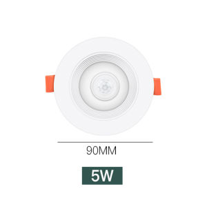 20W 15W 10W 5W PIR Motion Sensor Downlight AC85-265V Recessed Ceiling Light For Corridor Living Room Kitchen Decor Lighting