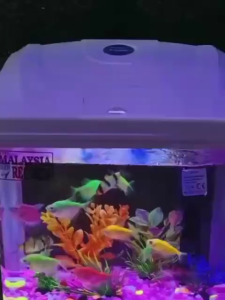 SOBO Mini Fish Tank T-240F Black/ White 9L Aquarium Set With Filter Pump and LED Light Akuarium Tank Ikan