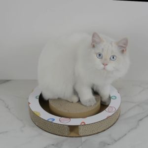 🍃 ที่ลับเล็บแมวทรงกลม 🍃 กระดาษลูกฟูกลับเล็บ 🍃 อุปกรณ์เลี้ยงแมว 🍃 อุปกรณ์สัตว์เลี้ยง