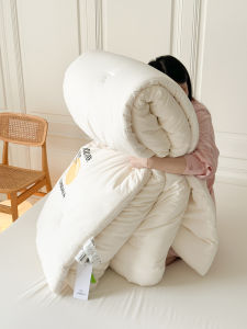 Thickened Winter Quilt Double Layer Soybean Warm Single Double Cotton Dormitory Winter Core Polyester Fiber Winter Comforter