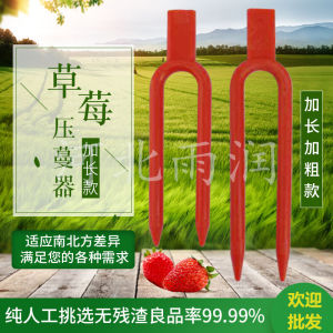 Round Mouth Long Strawberry Vine Press Seedling Fork Vine Holder Vine Root Planting Fork Seedling Fork