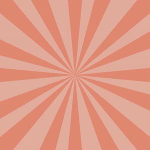 ขนมน้องหมา (รสไก่)  FED PED ROASTED CHICKEN STRIP 12 ชิ้น