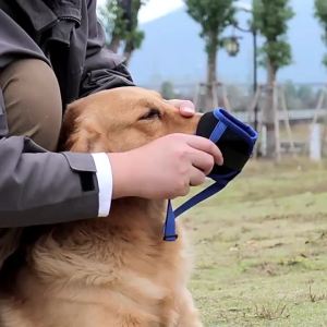 Dog Muzzle Puppy and Large Dog Anti Barking Adjustable Anti-biting Mesh Breathable Soft Pet Mouth Strap Doggie Supplies