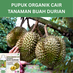 Pupuk Buah Durian 500 ML /Pupuk Booster Durian Cepat Berbuah Lebat/Pupuk Cair Durian