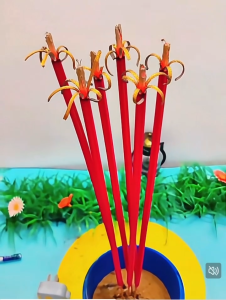 Nhang Nở Hoa Phú Quý Tài Lộc 5 cánh (nở đẹp) (1 bó 15-18 cây) nhang ngũ sắc