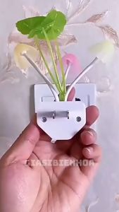 Đèn Ngủ Cảm Ứng Ánh Sáng Ban Đêm Tự Sáng Hình Cây Nấm