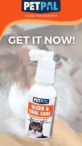 Petpal Ulcer & Oral Care45ML (Cat)