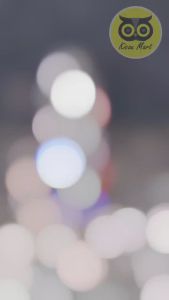 Kicau Mart Eye Chick 10 Ml Obat Tetes Mata Ayam Burung Unggas Bebek Atasi Mata Bengkak Iritasi Snot Katarak Berair Merah Obat Mata Burung Lovebird Kenari Murai EYECH