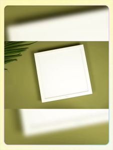 Bull | Embedded Flat Kitchen Light 300x600mm