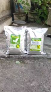 Nutrisi Hidroponik untuk Sayuran: ABMIX 1000 Liter