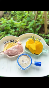 Dầu Mè HEBE – 100% mè đen ép lạnh giàu Omega 3-6-9 & vitamin E cho bé ăn dặm – chai thủy tinh 50ml–150ml