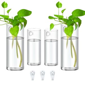 3Pack Wall Hanging Glass Planters: A Complete Guide