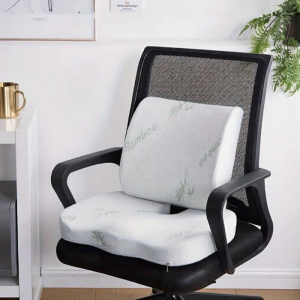 MOLORE | Multi-purpose Memory Foam Seat and Back Cushion Set