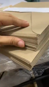 10pcs | BROWN ENVELOPE Short & Long - Office School Mailing Supplies Letter Packaging