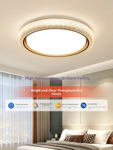 DGY | Sleek Modern Crystal Ceiling Light
