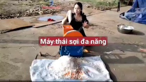Máy cắt sợi sắn ủ chua máy thái sợi đa năng