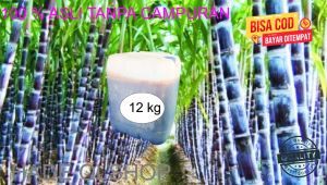 Molase Tetes tebu super kemasan 12 kg untuk bahan fermentasi