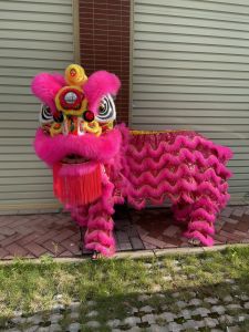 New Product No. 3 Buddha Set Lion Foshan Lion Full Set Wool Xingshi South Lion Australian Sheep South Lion Lion Dance Props