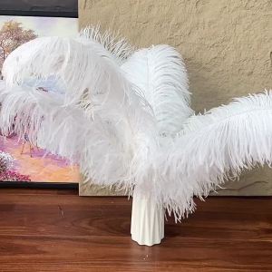 EELHOE | 25 To 30cm Ostrich Feather Soft Plume Decorative Feather Multicolor Options For Wedding Home Party DIY Craft Ornament