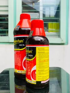 Insektisida sundep SPONTAN 400SL dari agricon mantap!!