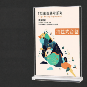 XYBP | Transparent Double-Sided Acrylic Display Stand