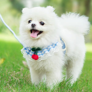 เสื้อกั๊กผูกเชือกเลี้ยงสุนัขแบบแขนงเล็กสำหรับสุนัขพันธุ์เล็ก เส้นใยโพลีเอสเตอร์ สายเดี่ยวแบบไม่ต่อได้ อุปกรณ์เลี้ยงสุนัข