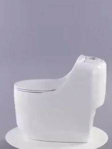 Water Closet | Household Toilet | Siphon Flushing | Water Closet Toilet Bowl Set