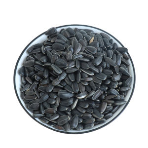 Flower Branch Hamster Seeds Snacks Black Oil Sunflower Seeds for Chinchillas And Parrots Pet Food And Supplies Toy/Decorations