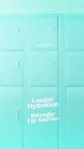 WARDAH Hydrabalm Lip Care 4g - Pelembab Bibir Tahan Lama 12 Jam Dengan SPF 15