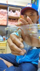 Phao Cỏ Lau Xuyên Giang chuyên câu lửng  câu rơi